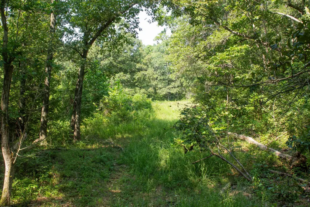 Picture 16