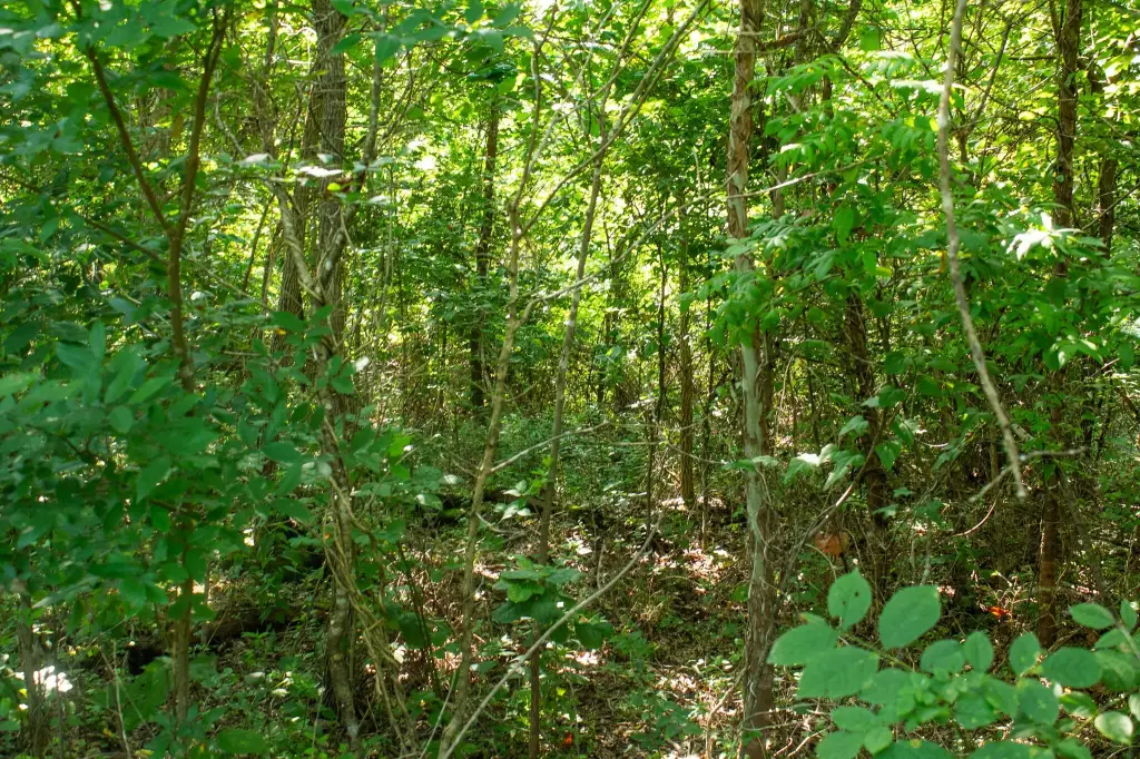 Picture 20
