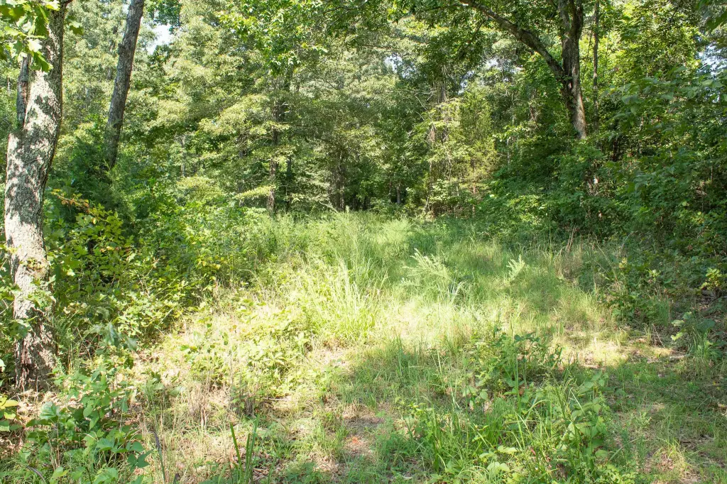 Picture 14