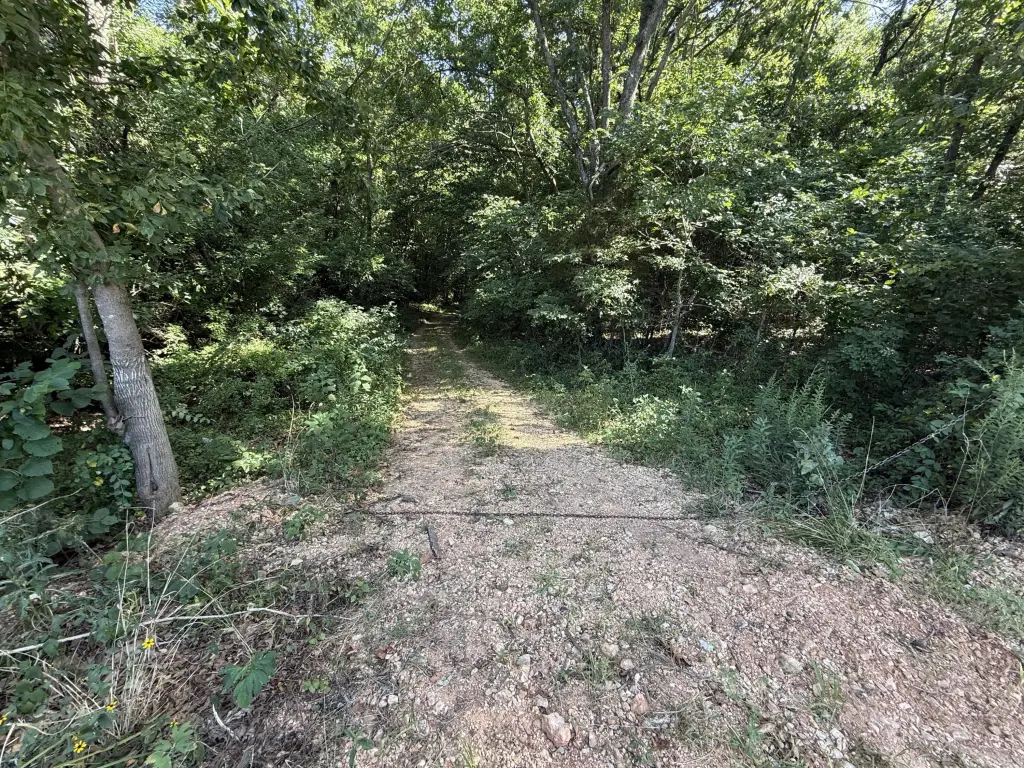Picture 22
