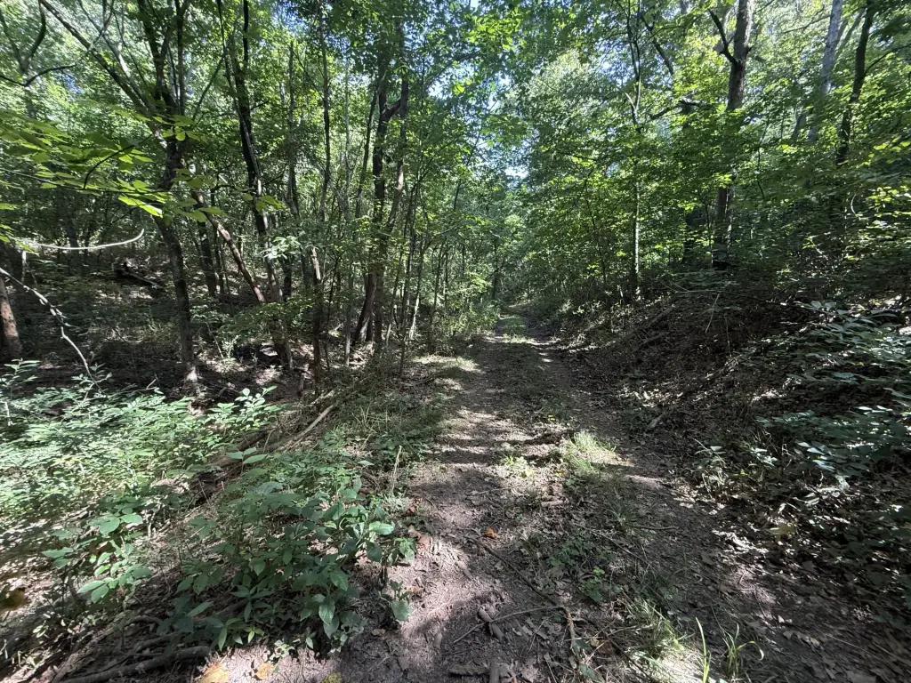 Picture 29