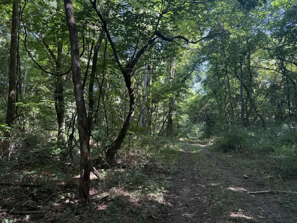 Picture 40