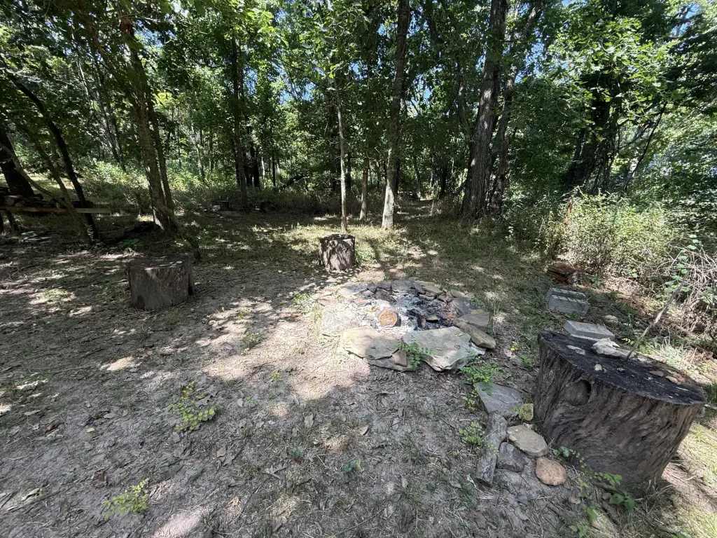 Picture 16