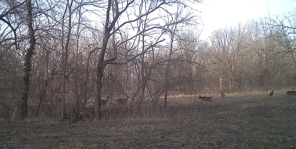 Picture 32
