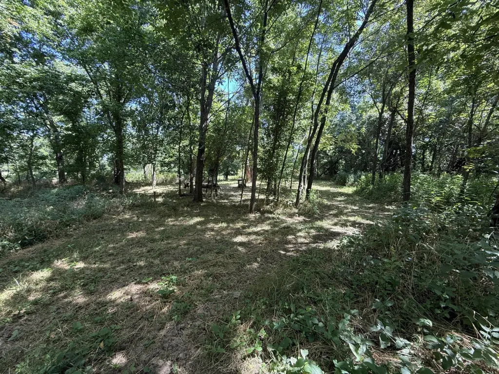 Picture 13