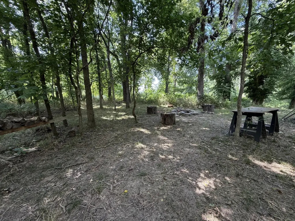 Picture 7