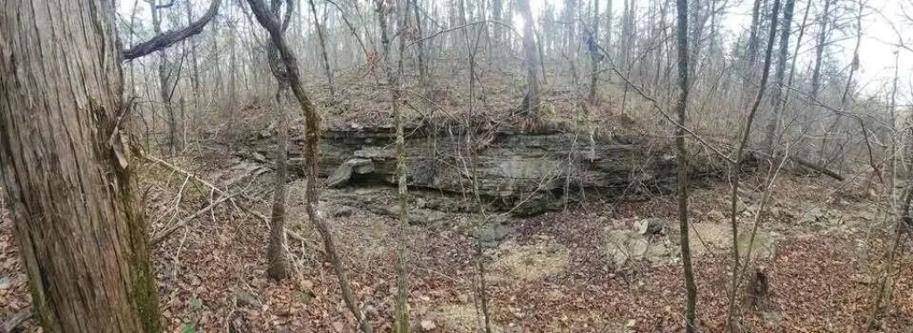 Picture 17