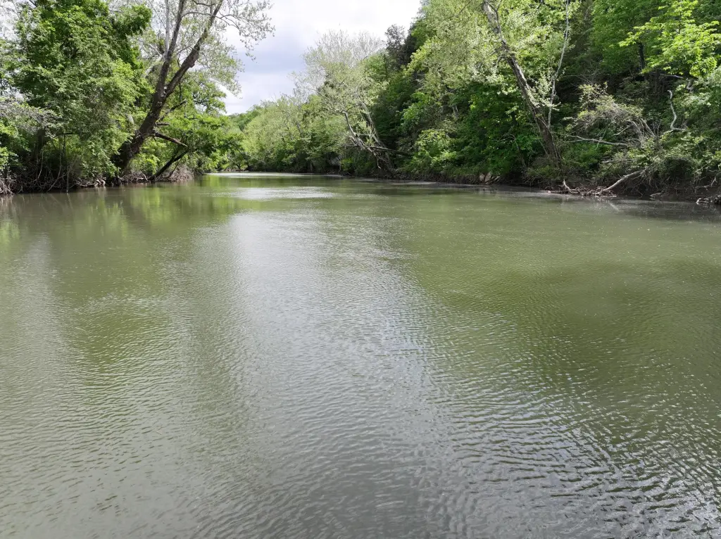 Picture 19