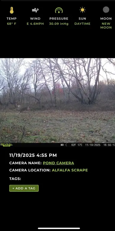 Picture 32