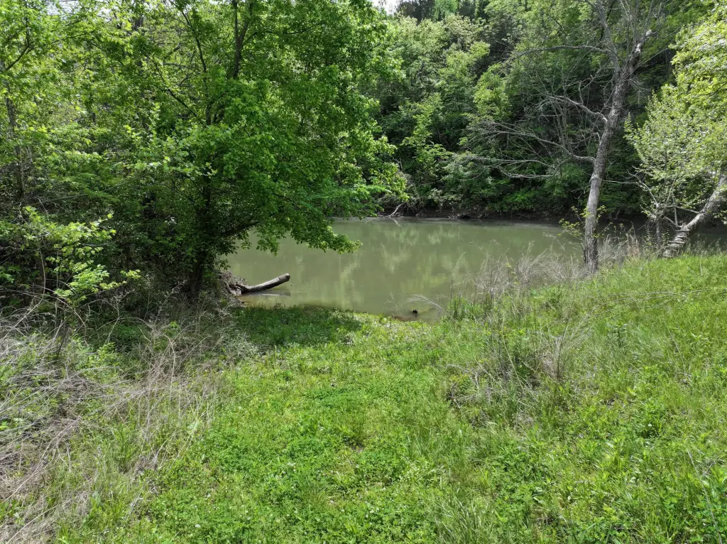 Picture 23