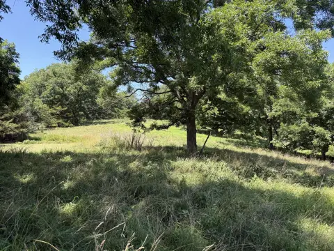 Hunting Land with Shipping Container