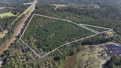 I-20 Frontage Timberland