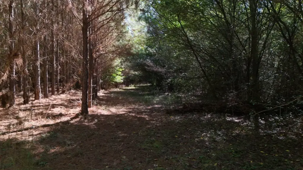 Picture 24