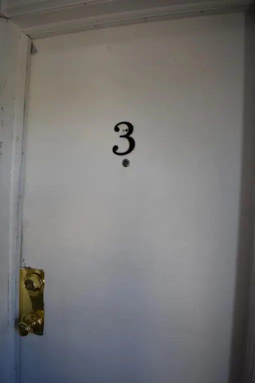 Picture 7