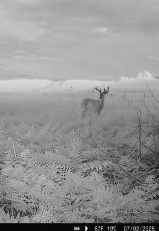 Picture 12