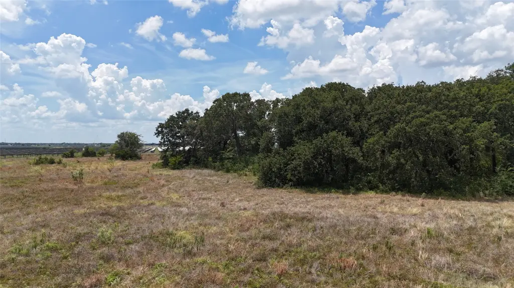 Picture 29