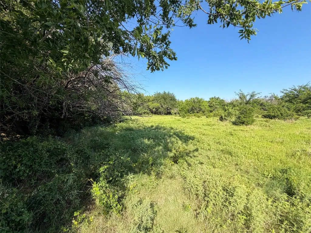 Picture 25