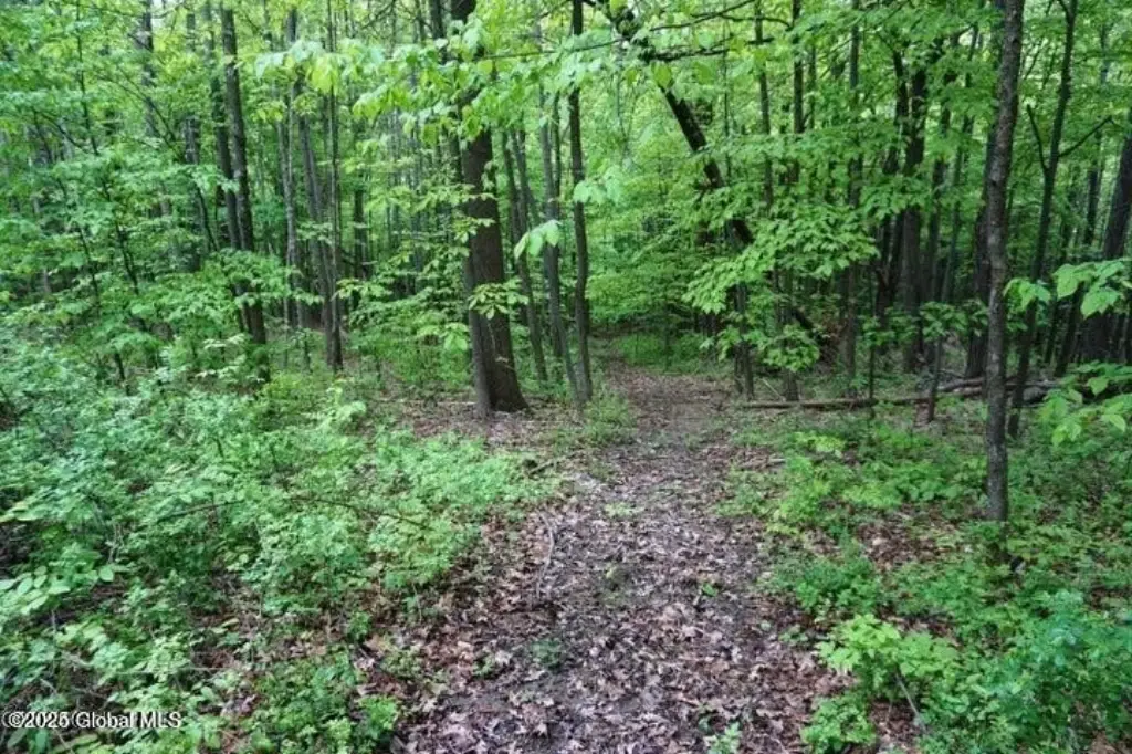 Picture 10