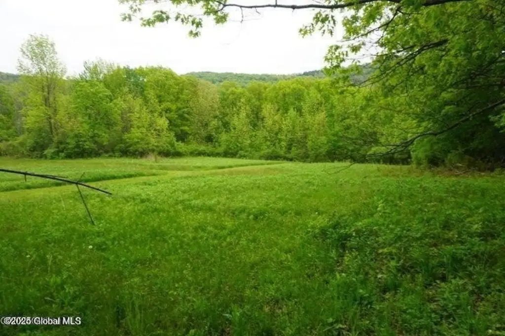 Picture 13