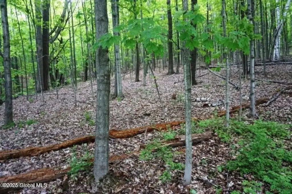 Picture 9