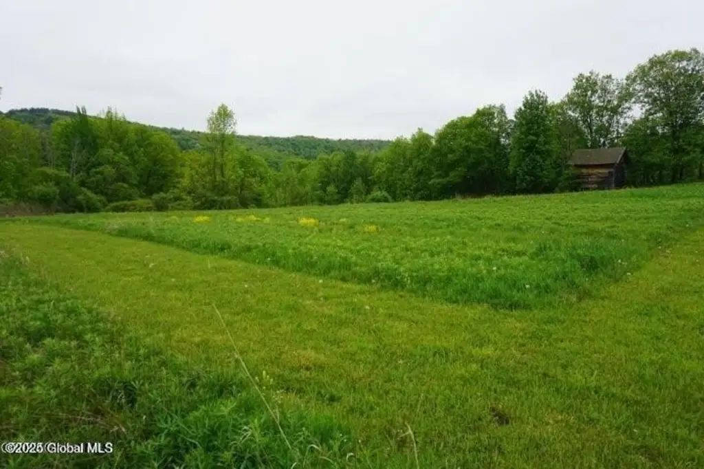 Picture 12