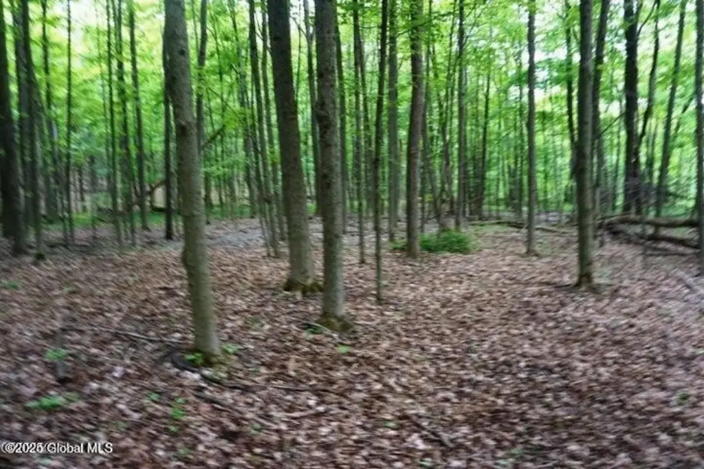 Picture 7