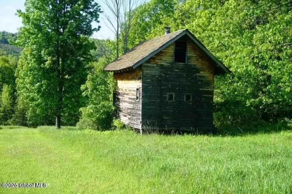 Picture 3