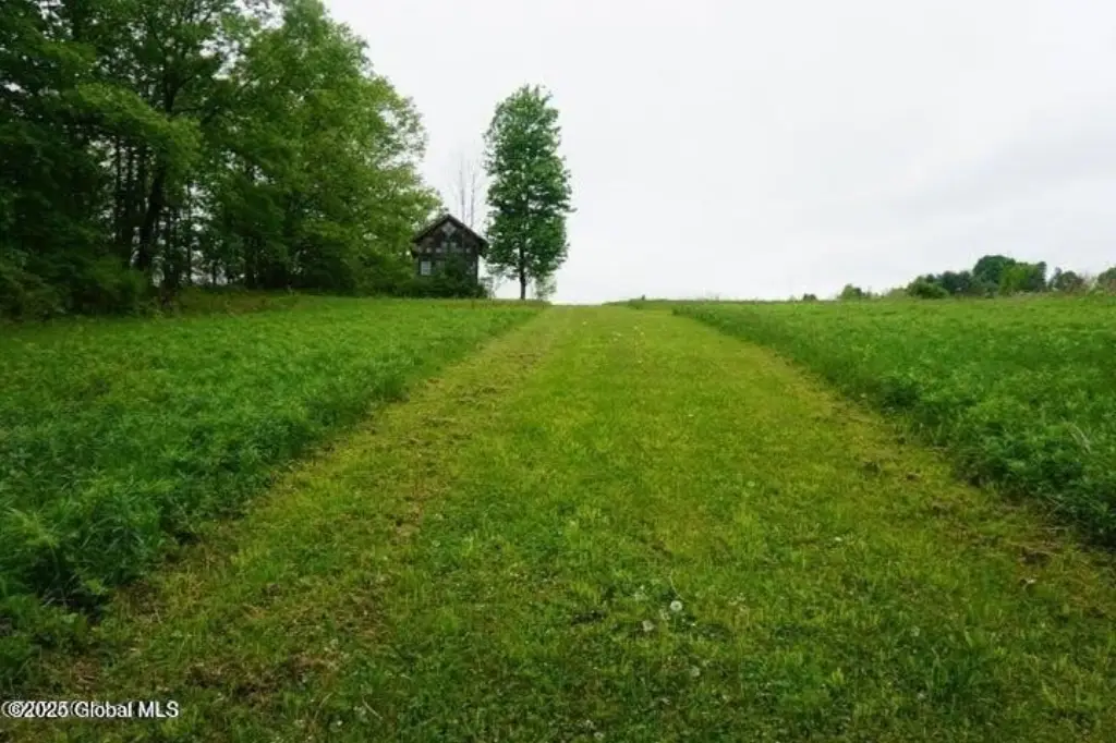 Picture 14