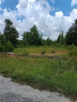 Talbotton Hunting Land Opportunity