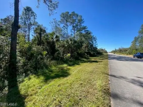 Undeveloped Land in Naples, Florida