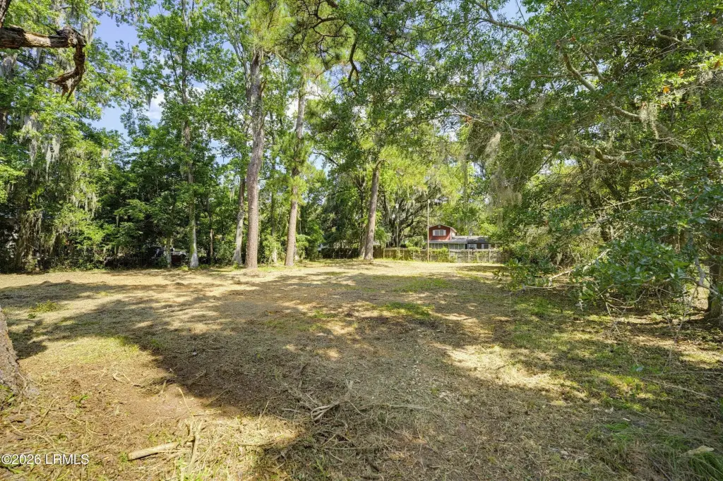 Picture 15