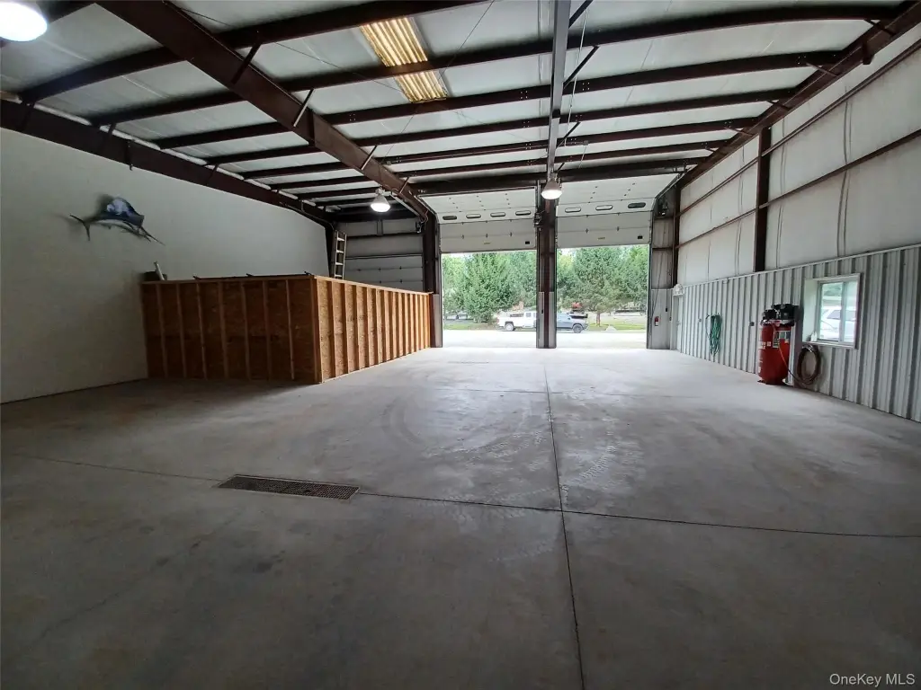 Picture 5