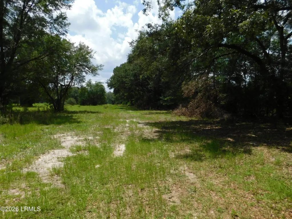 Picture 4