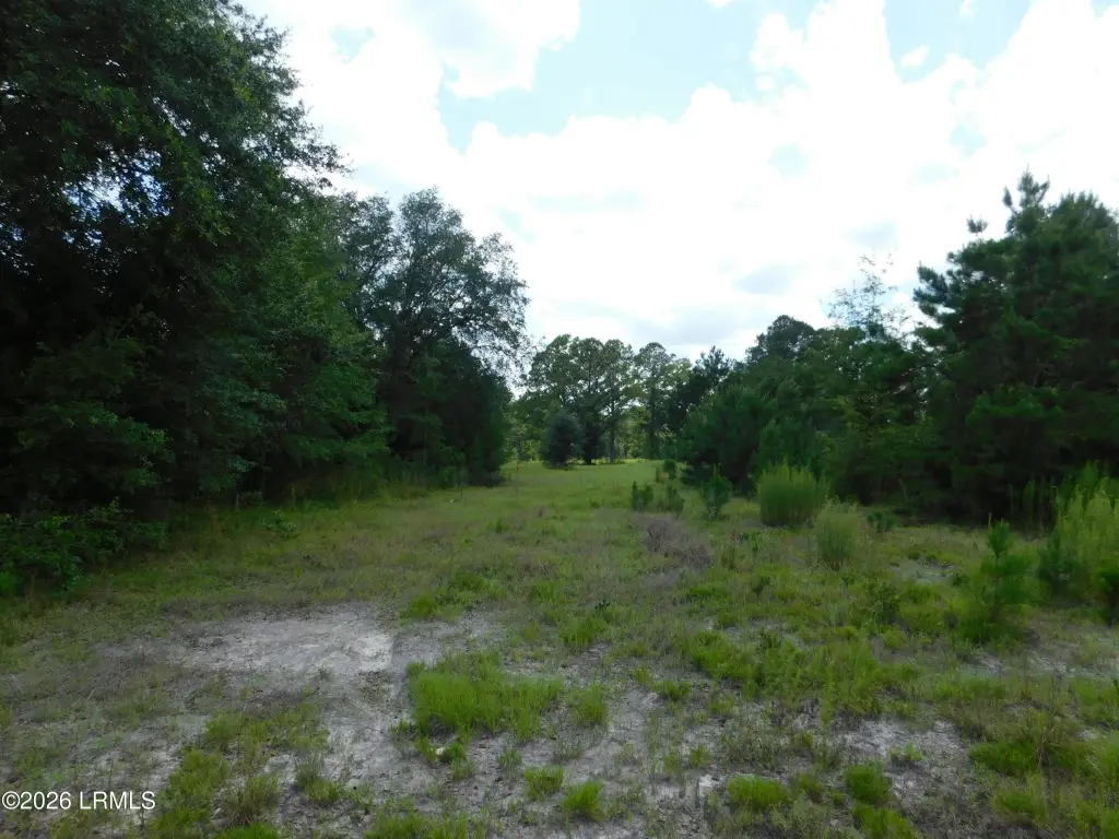 Picture 10