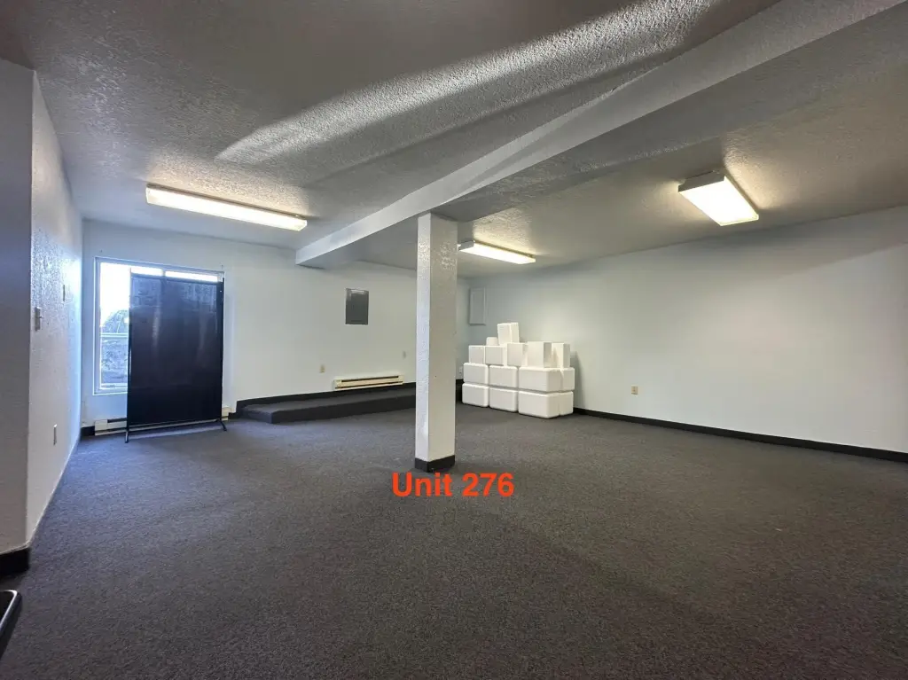 Picture 5