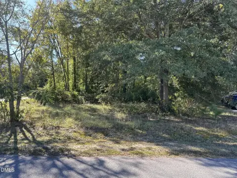 Residential Land in Wilsons Mills