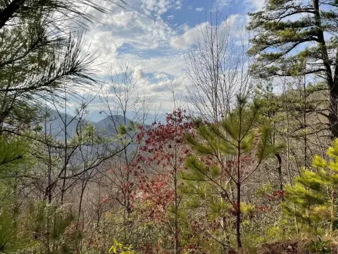 Cowee Mountain Homesite with Views