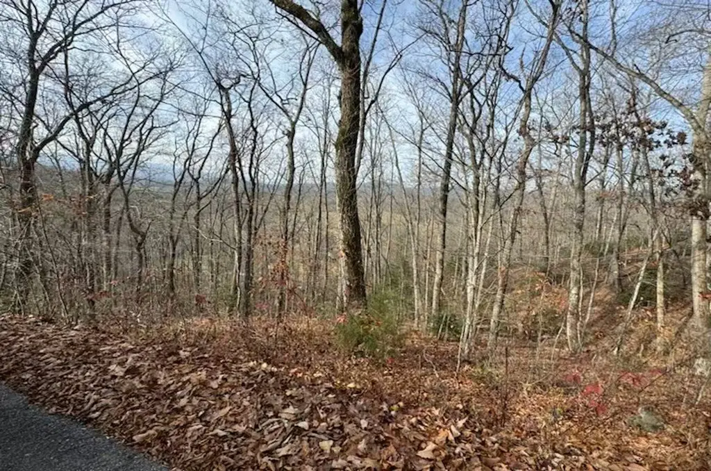 Picture 2