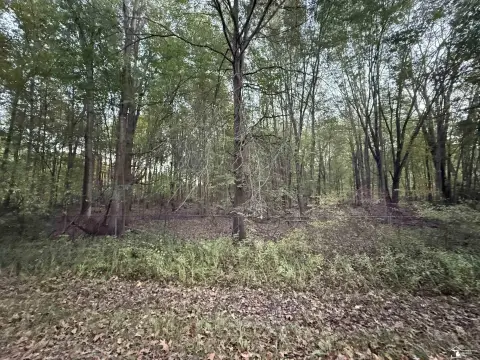Wooded Land in Dundee, MI