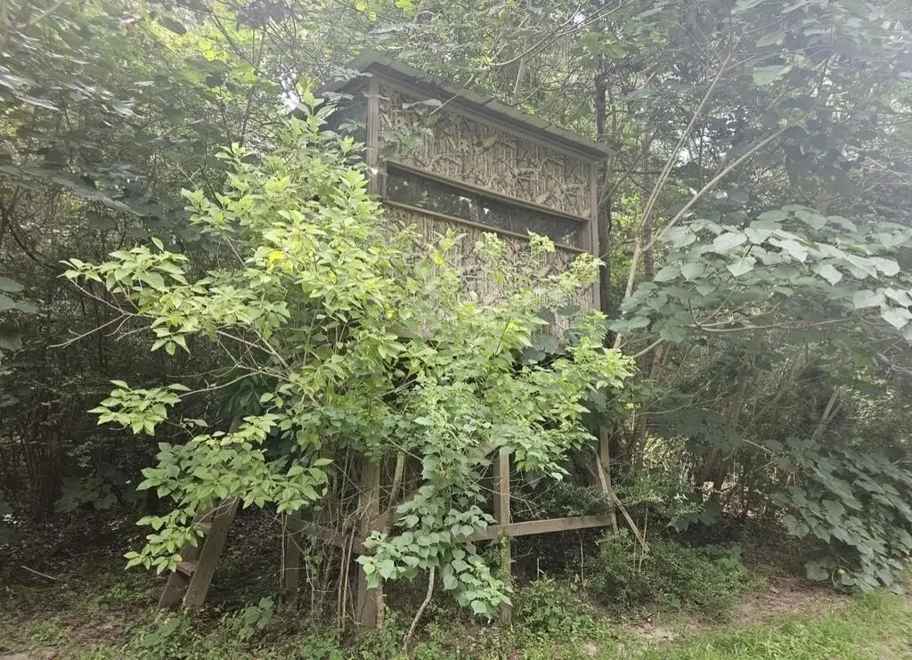 Picture 11