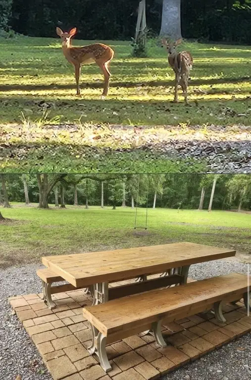 Picture 12