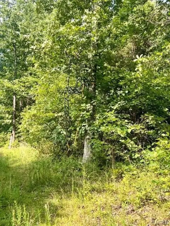 Picture 16