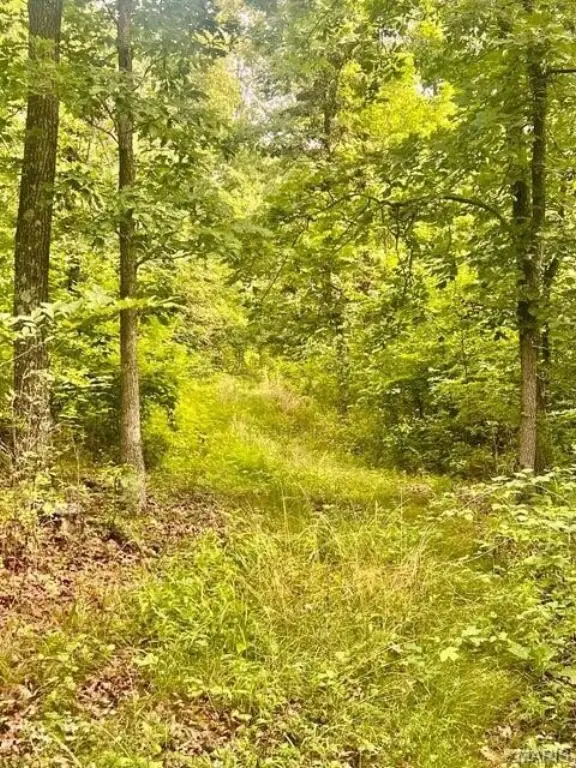 Picture 7