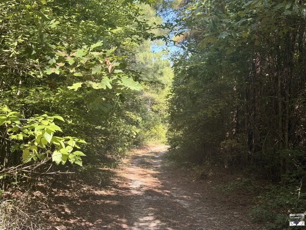 Picture 20