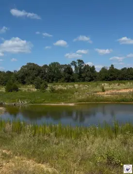 Fenced Agricultural Land with Ponds