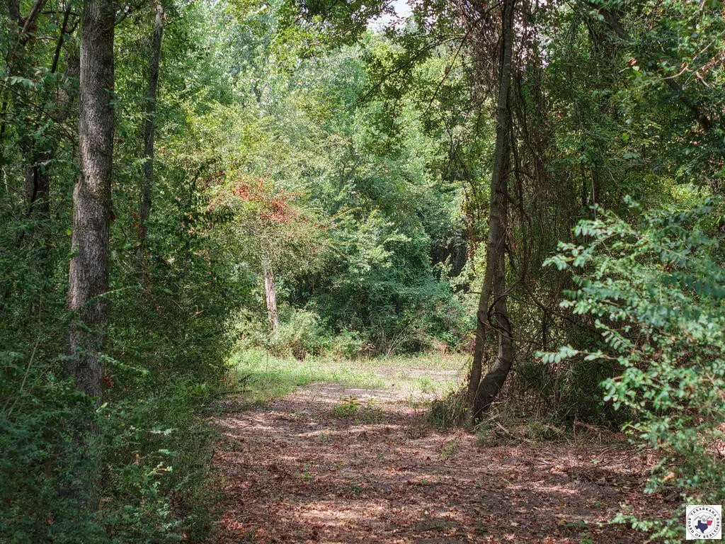 Picture 34