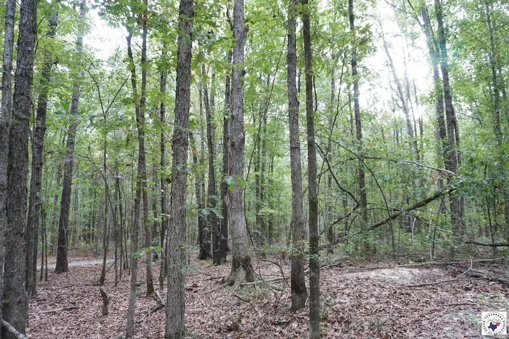 Picture 13