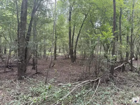 Hardwood Timber Hunting Land