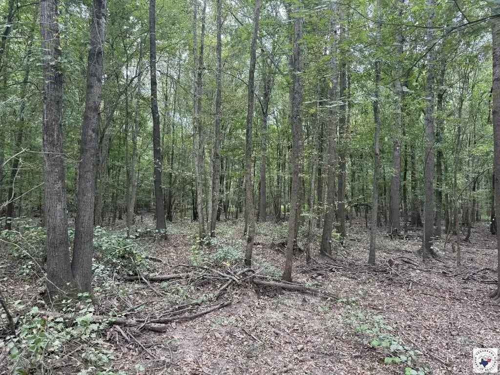 Picture 3