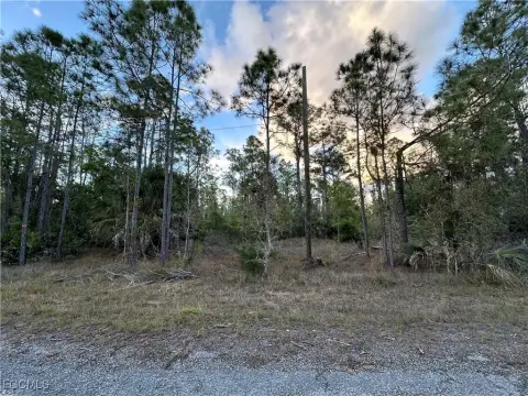 Land in Developing Lehigh Acres